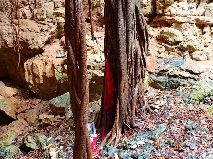 tandroka – Grotte Mahajanga