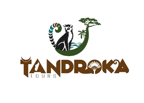 Tandroka tours
